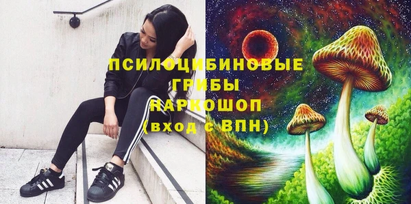 мяу мяу мука Баксан