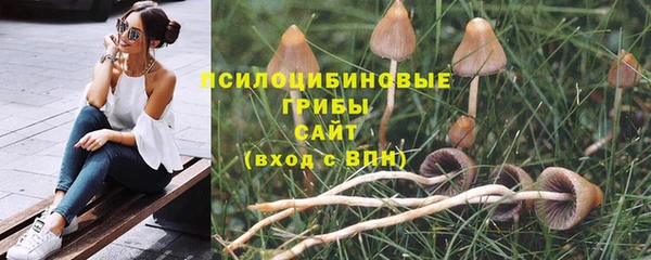 мяу мяу мука Баксан