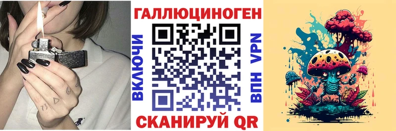 Псилоцибиновые грибы GOLDEN TEACHER  Купить где  Нея 